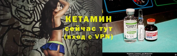 ПСИЛОЦИБИНОВЫЕ ГРИБЫ Дмитриев