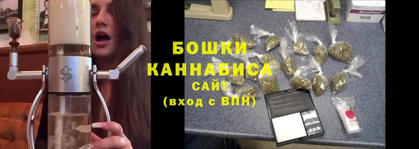 сатива Дмитровск