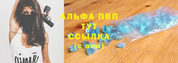 сатива Дмитровск
