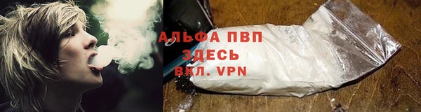 Альфа ПВП Дмитров