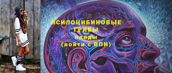 сатива Дмитровск