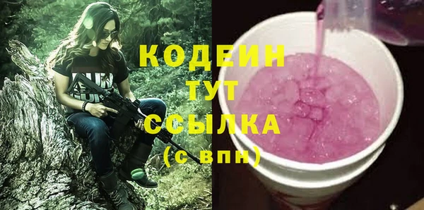 ПСИЛОЦИБИНОВЫЕ ГРИБЫ Дмитриев