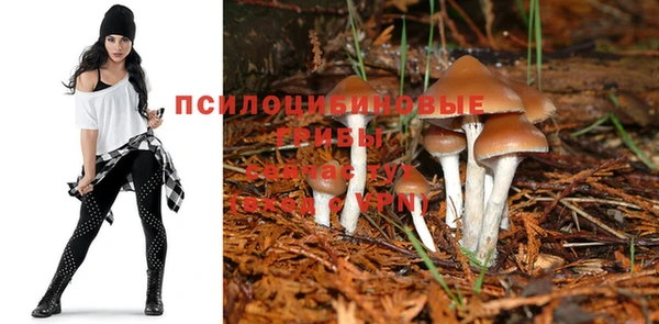 ПСИЛОЦИБИНОВЫЕ ГРИБЫ Дмитриев