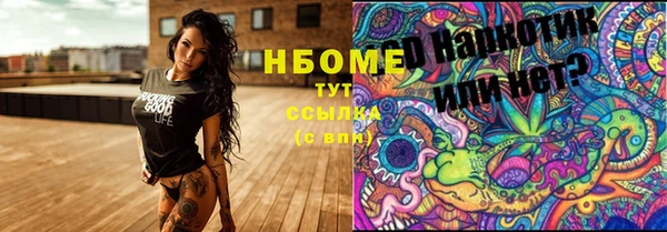 сатива Дмитровск