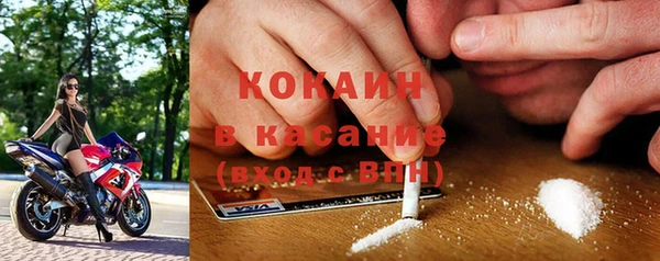 ПСИЛОЦИБИНОВЫЕ ГРИБЫ Дмитриев