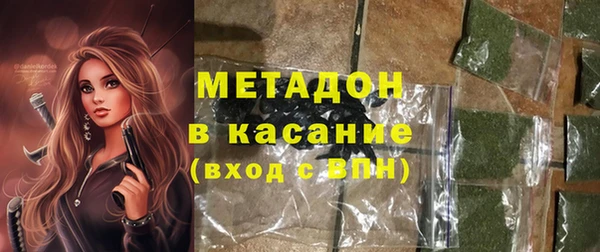 ПСИЛОЦИБИНОВЫЕ ГРИБЫ Дмитриев