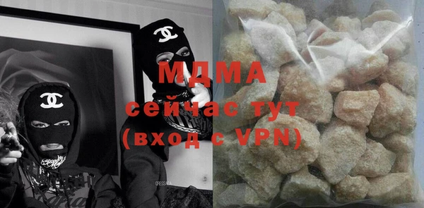 ПСИЛОЦИБИНОВЫЕ ГРИБЫ Дмитриев
