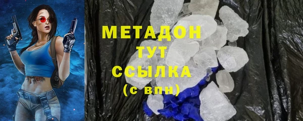 ПСИЛОЦИБИНОВЫЕ ГРИБЫ Дмитриев