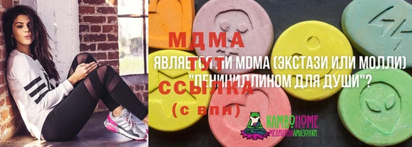ПСИЛОЦИБИНОВЫЕ ГРИБЫ Дмитриев