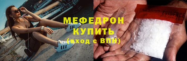 сатива Дмитровск