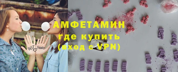 ПСИЛОЦИБИНОВЫЕ ГРИБЫ Дмитриев