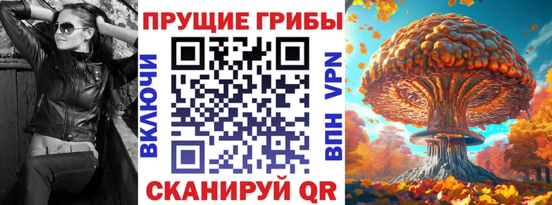 Псилоцибиновые грибы прущие грибы  как найти закладки  Дмитров 