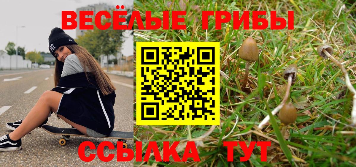 Псилоцибиновые грибы GOLDEN TEACHER Дмитров
