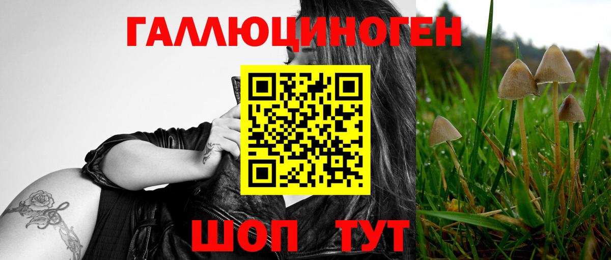 Дмитров  Псилоцибиновые грибы Magic Shrooms  Вход с VPN  Галлюциногенные грибы Magic Shrooms 